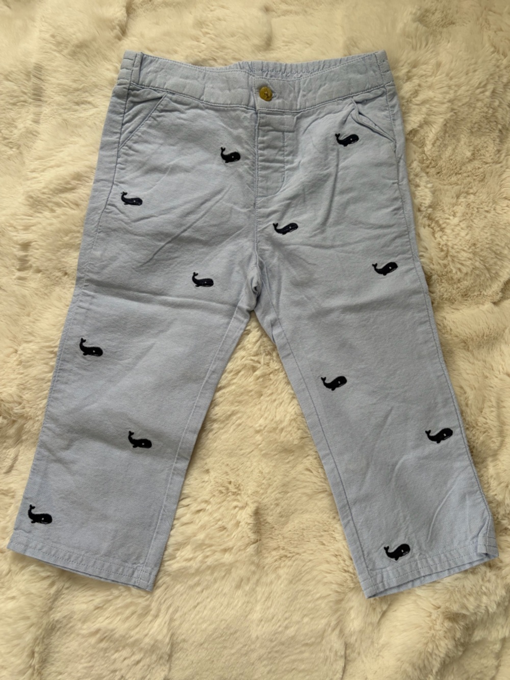 Janie and Jack Light Blue Button-Front Pants with Whale Embroidery